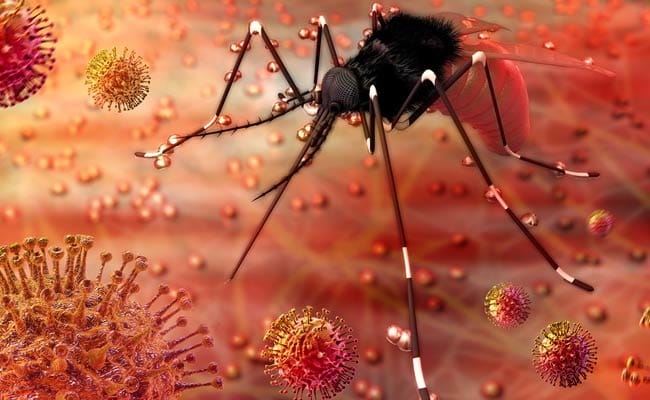 Rajasthan reports 29 cases tested +ve for Zika virus