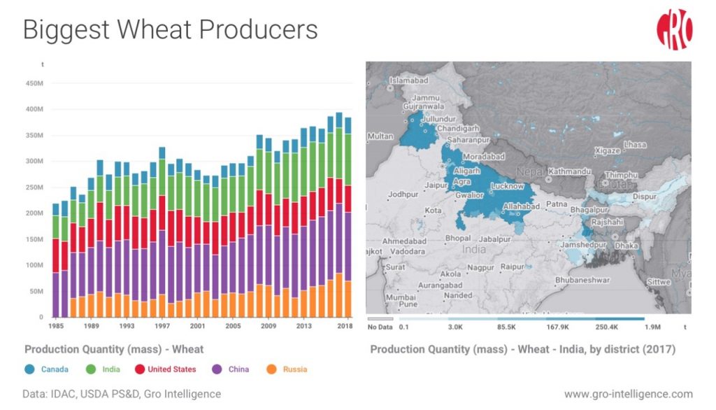 Biggest Wheat Producer part two dzzwpz