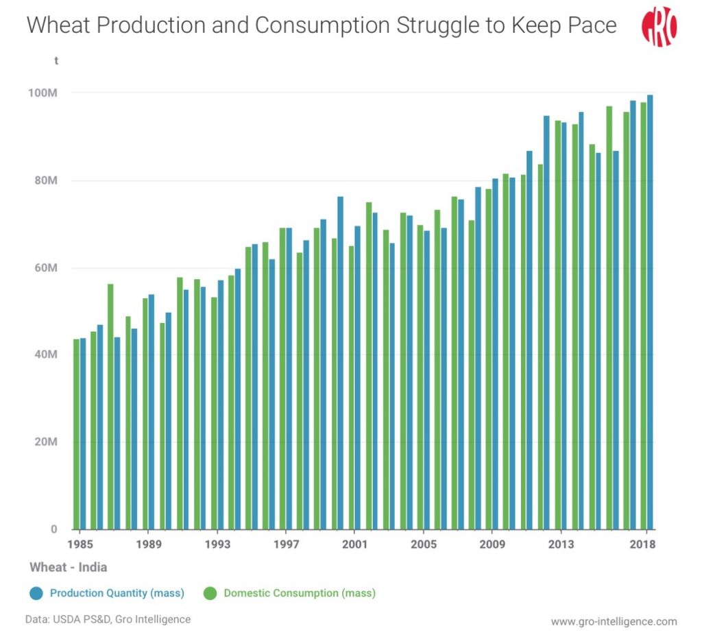 Wheat Production and Consumption Struggle to Keep Pace tkkiuy