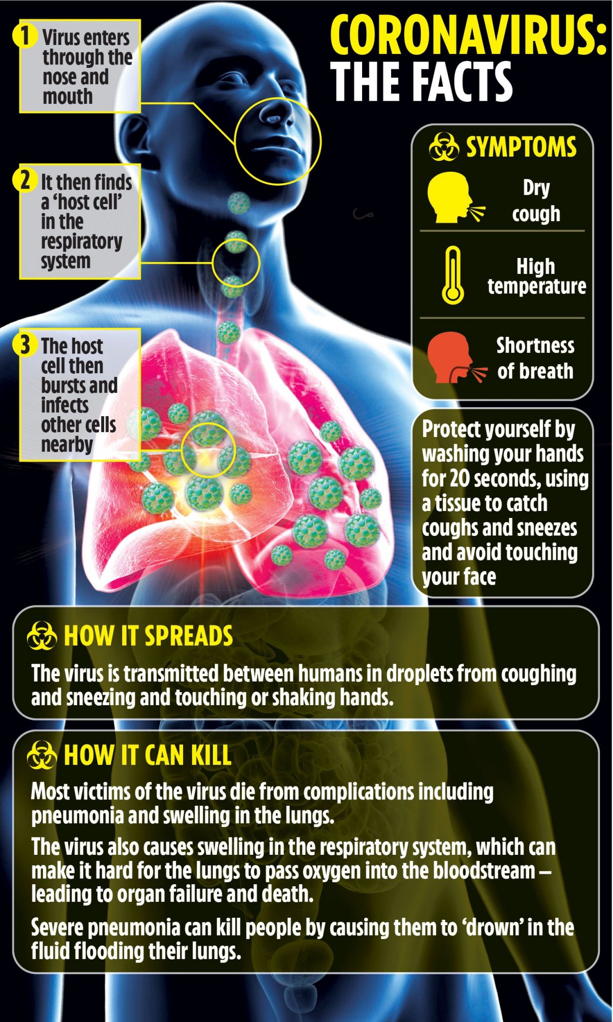 CORONAVIRUS SYMPTOMS