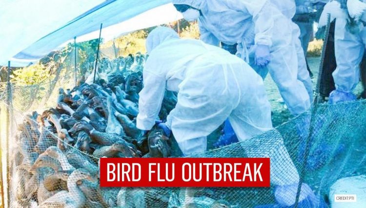 Gujarat  Kerala, Rajasthan, MP,  HP  identified as epicentres of bird flu