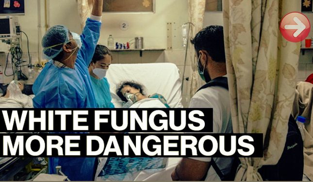 White fungus are more risky than black warns medicos