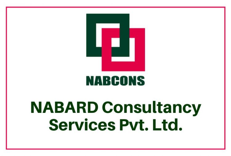Job recruitement for NABARD Consultancy Services Private Limited(NABCONS)-2021