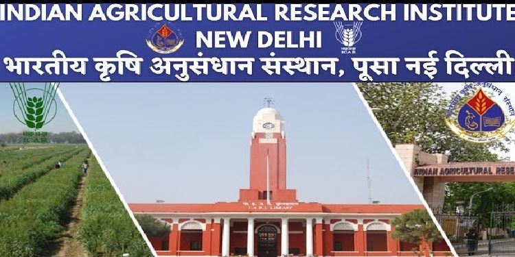 Job Recrutment for Indian Agricultural Research Institute(IARI) – 2022
