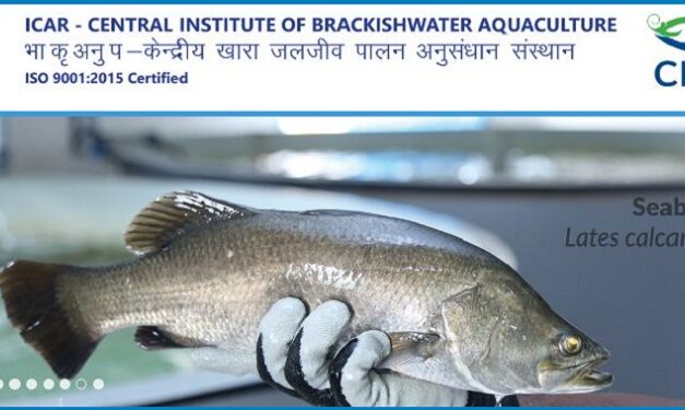 Job Recruitment for Central Institute of Brackishwater Aquaculture (CIbA) – 2022