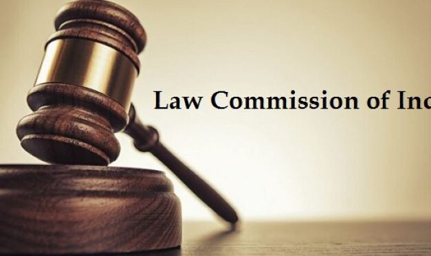 Law commission to be made as constitution body : High Court