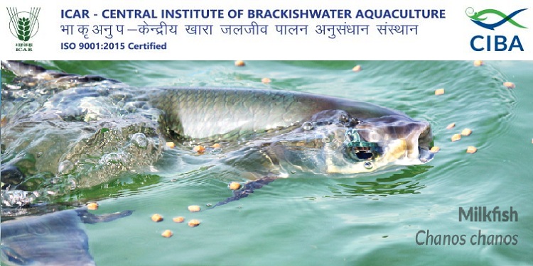 Job Recruitment for Central Institute of Brackishwater Aquaculture – 2022