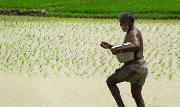 Tamilnadu to initiate Farmers Digital data  via  “GRAINS ” web portal