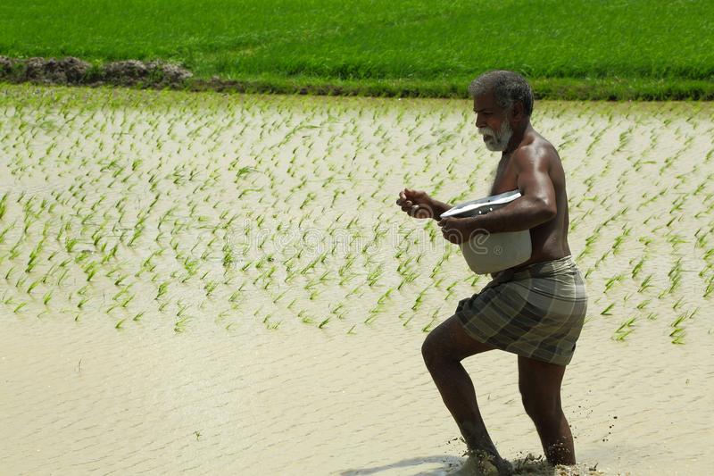 Tamilnadu to initiate Farmers Digital data  via  “GRAINS ” web portal