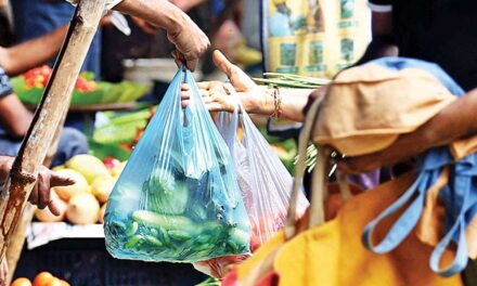 Chennai Corporation seize 15 tons of plastic Bags from Shops