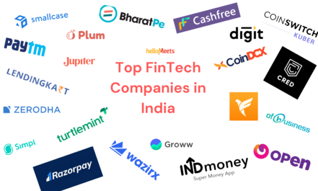 RBI cracks whip at fintech companies over PPIs 