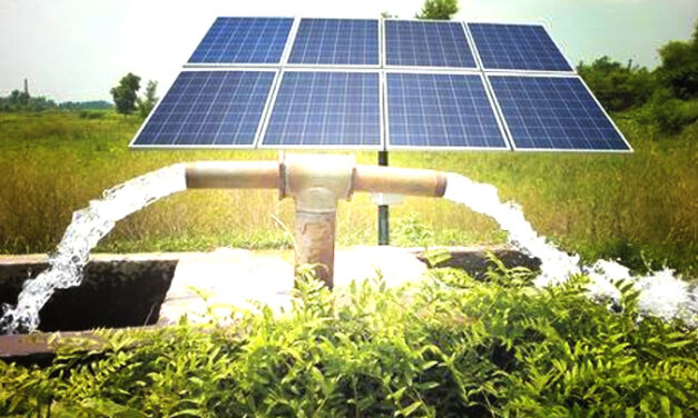Emerging Success stories of solar pumpsets in Tamilnadu 