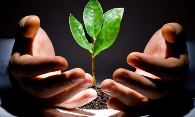Venture Capital  funding D series dropped to 11.7B$ in 2022