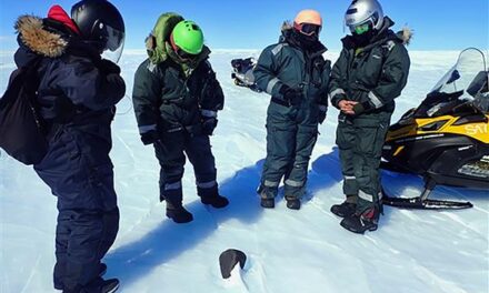 Oldest 7.6 kg Meteorites found in Antarctica key answer to earth’s formation