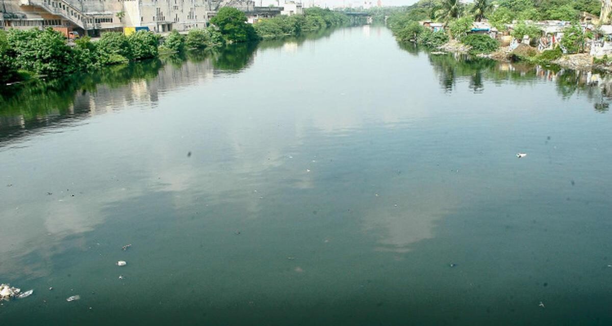 Chennai run Cooum river worst polluted in entire country  : CPCB