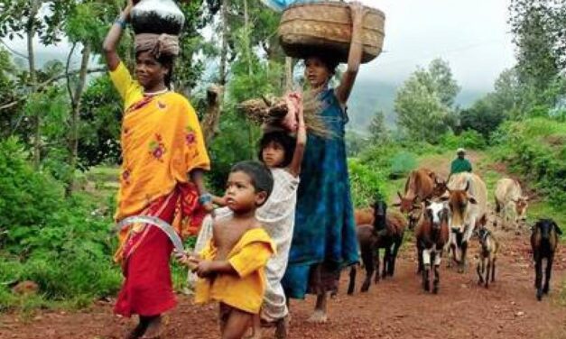 Forest land settlers vacated in Lakhimpur Assam