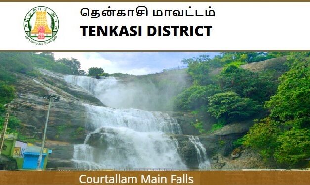 Job Recruitment for Tenkasi District Health Society (DHS) – 2023