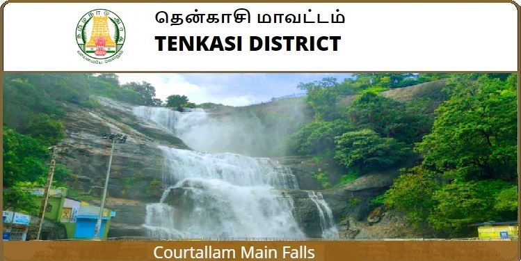Job Recruitment for Tenkasi District Health Society (DHS) – 2023