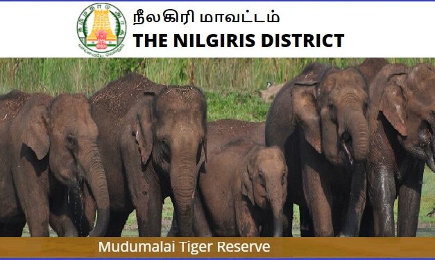 Job Recruitment for Nilgiris District Health Society (DHS) – 2023