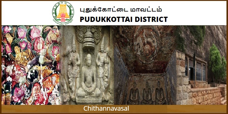 Job Recruitment for Pudukkottai District Health Society(DHS) – 2023