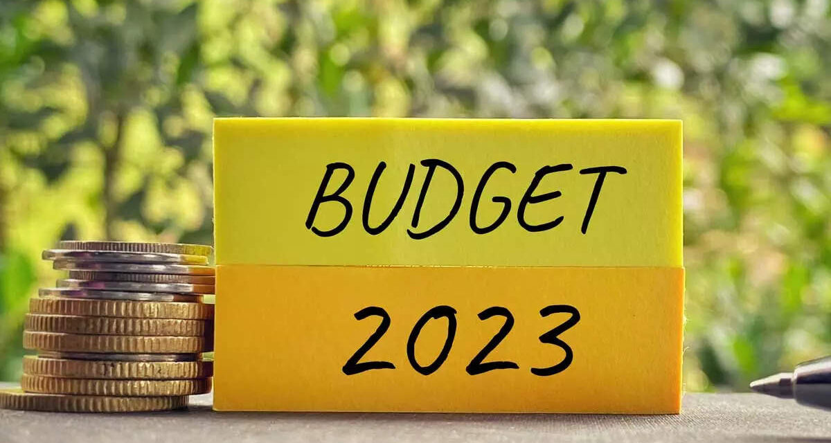 Budget 2023 : What cost more and cost less