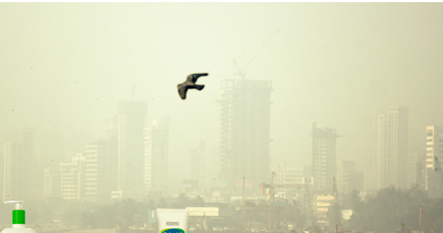Mumbai moved to 2nd most polluted city in the world