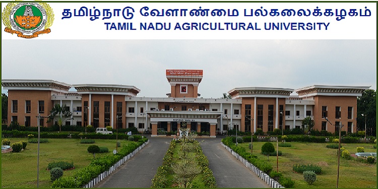 தமிழ் நாடு வேளாண் பல்கலைக்கழகத்தில் (TNAU) வேலைவாய்ப்புகள் – 2023