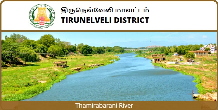 திருநெல்வேலி  மாவட்ட நலவாழ்வுச் சங்கத்தில் (DHS) வேலைவாய்ப்புகள் – 2023